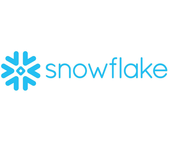 Snowflake logo 