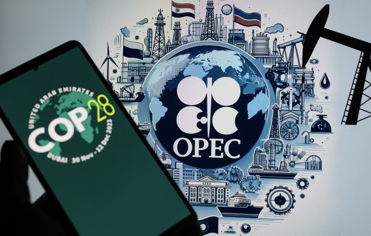 L'OPEP a sa propre vision de la transition énergétique. Jonathan Raa / NurPhoto / NurPhoto via AFP