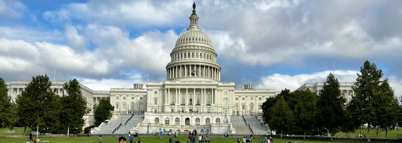 United States Capitol - Daniel SLIM / AFP