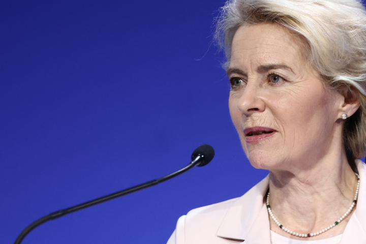 Ursula von der Leyen, présidente de la Commission européenne  (HENRY NICHOLLS/POOL/AFP)