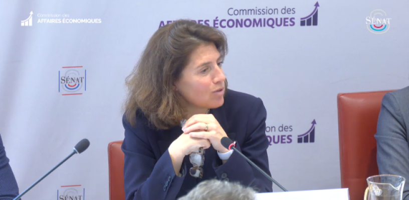 Christel Heydemann, directrice générale d'Orange. Crédits : commission des affaires économiques du sénat