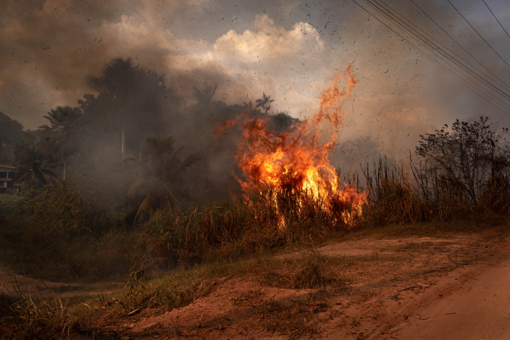 Déforestation (Photo by Gustavo Basso / NurPhoto / NurPhoto via AFP)