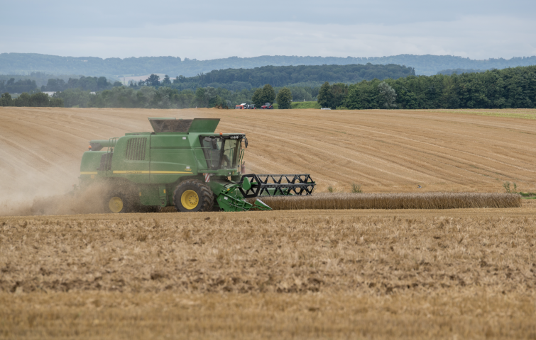 Champ de blé en fin de moisson. Laurent COUSIN/HAYTHAM-REA