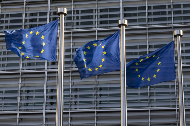 Drapeaux européens (Photo by Nicolas Economou / NurPhoto / NurPhoto via AFP)