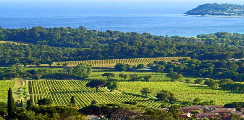 Domaine de la Bastide Blanche - Saint-Tropez