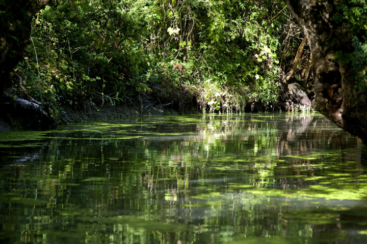Marais Poitevin - Philippe Roy / Aurimages via AFP