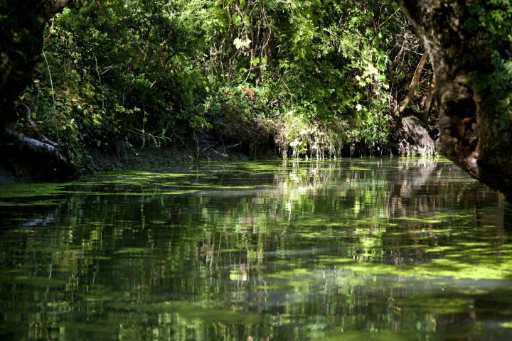 Marais Poitevin - Philippe Roy / Aurimages via AFP

