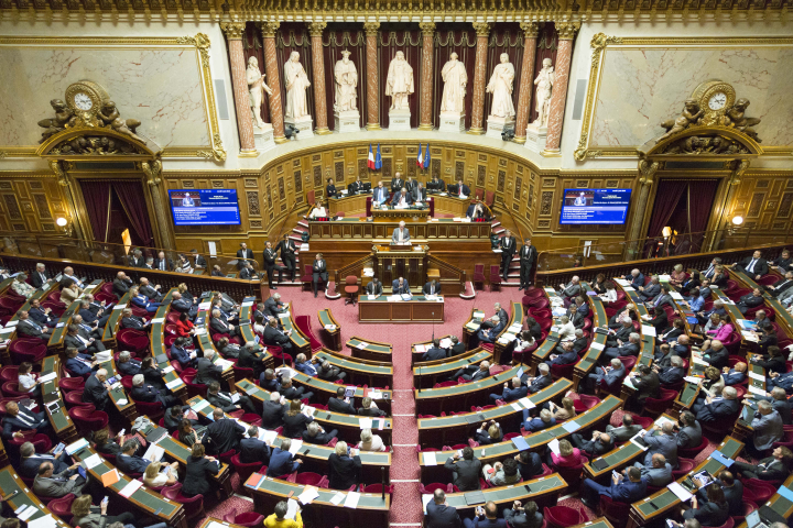 Hémicycle du Senat (©Romain BEURRIER/REA)