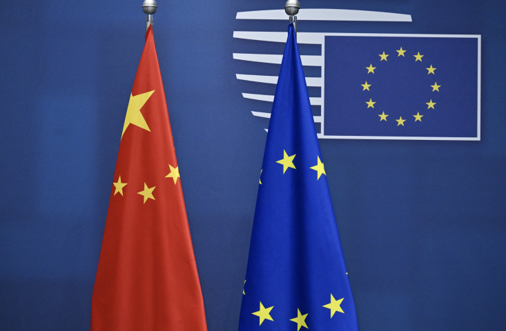 Drapeaux.Photo by Dursun Aydemir / ANADOLU / Anadolu via AFP