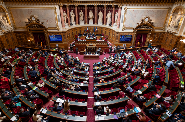 Sénat - Serge Tenani / Hans Lucas / Hans Lucas via AFP