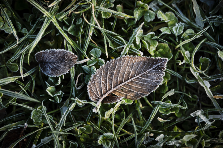 Karsten Moran/REDUX-REA