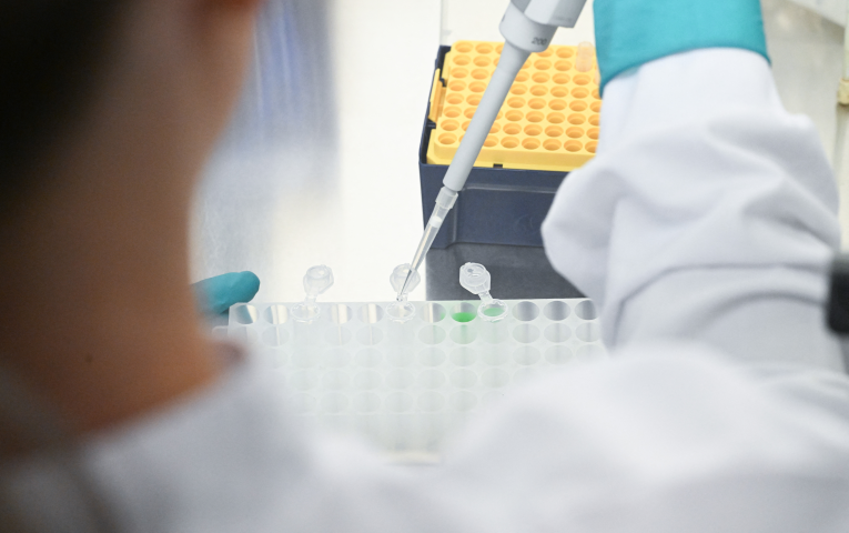 Les marchés privés de la santé abordent 2026 dans un environnement sélectif (Photo by BERND WEISSBROD / dpa Picture-Alliance via AFP)