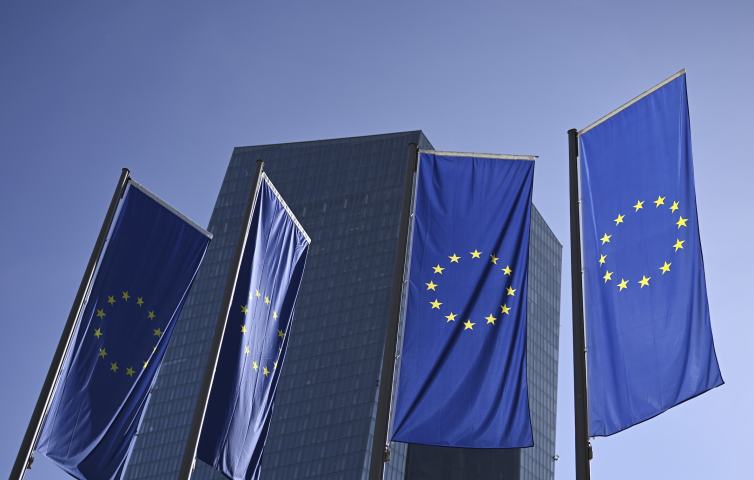 Drapeaux de l'Union européenne. Arne Dedert/ZUMA Press/ZUMA/REA
