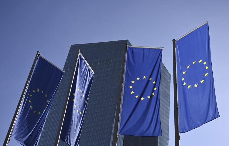 Drapeaux de l'Union européenne. Arne Dedert/ZUMA Press/ZUMA/REA