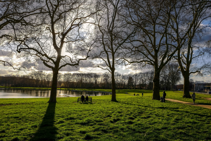 Forêt (©Laurent GRANDGUILLOT/REA)