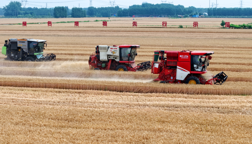 Moisson en Chine. Photo par LI ZIHENG / XINHUA / XINHUA VIA AFP