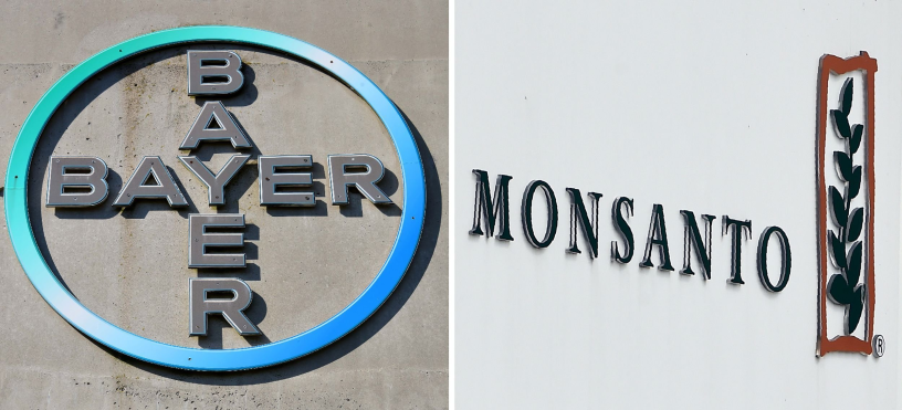 Bayer Monsanto