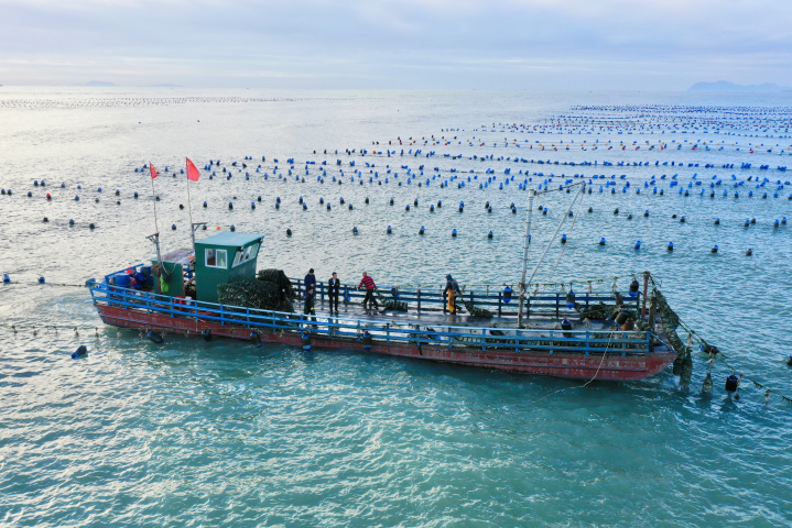 Ferme Aquacole. Photo by Jiang Kehong / XINHUA / Xinhua via AFP