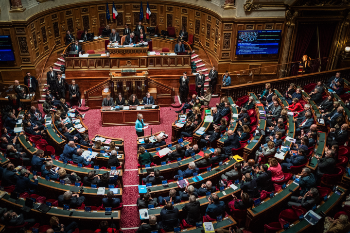 Hémicycle du Sénat (©Hans Lucas via AFP)