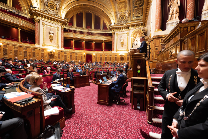 Sénat - Eric TSCHAEN/REA