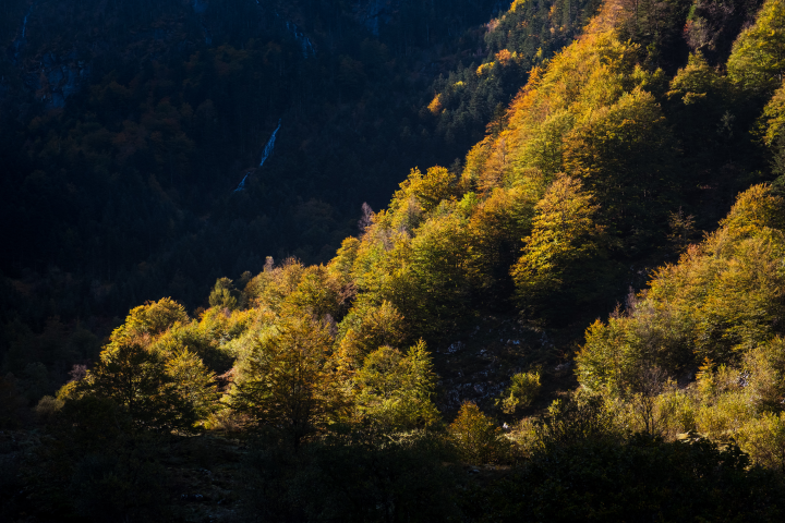 Pyrénées - (Photo by Lilian Cazabet / Hans Lucas / Hans Lucas via AFP)