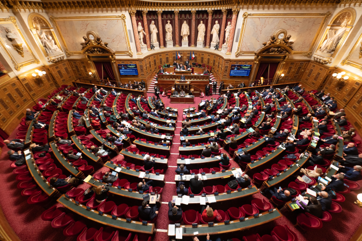 Sénat (©Eric TSCHAEN/REA)