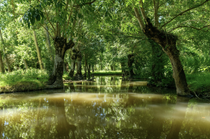 Marais Poitevin - ARNAUD BERTRANDE / ONLY FRANCE / Only France via AFP