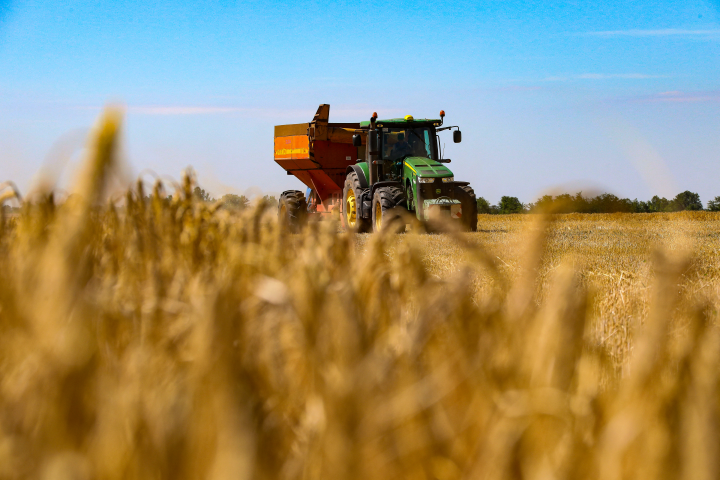 La production agricole mondiale devrait gagner 1,1 % par an sur la prochaine décennie / Nina Liashonok / NurPhoto via AFP