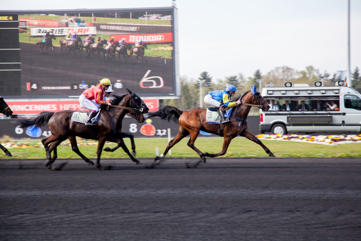 Courses hippiques (©Alexandra BREZNAY/REA)