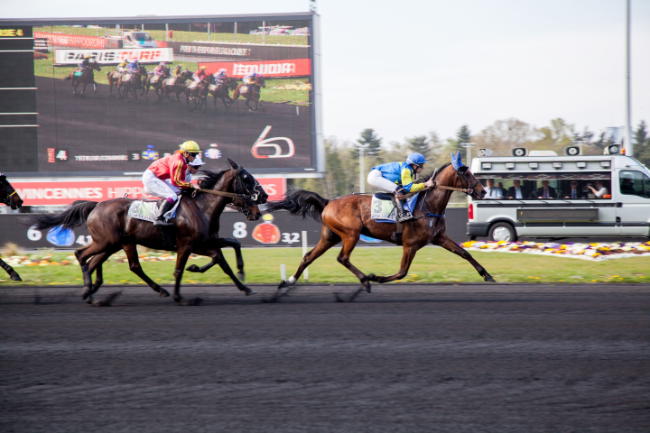 Courses hippiques  (©Alexandra BREZNAY/REA)