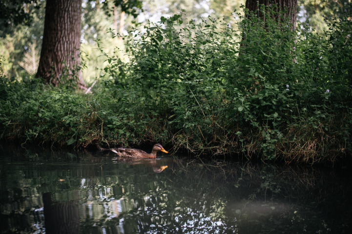 Photo par EMMANUELLE PAYS / HANS LUCAS VIA AFP