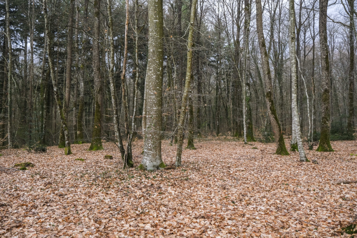 Photo par JEAN-MICHEL DELAGE / HANS LUCAS / HANS LUCAS VIA AFP