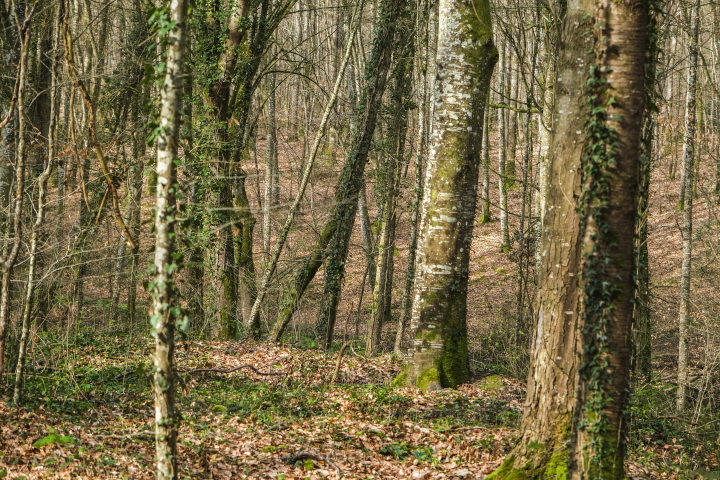 (Photo de Jean-Michel Delage / Hans Lucas / Hans Lucas via AFP)