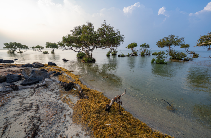 Photo par MAGNUS MARTINSSON / TT NEWS AGENCY / TT NEWS AGENCY VIA AFP