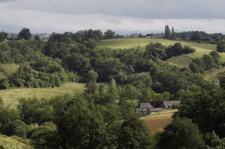 Campagne
Ecologie
Planète