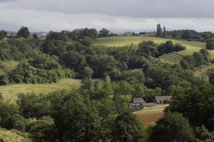 Campagne 
Ecologie
Planète 