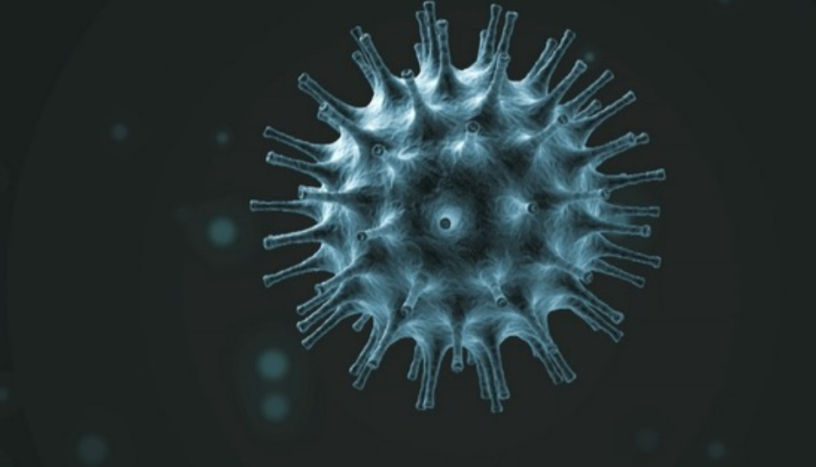 Le Coronavirus