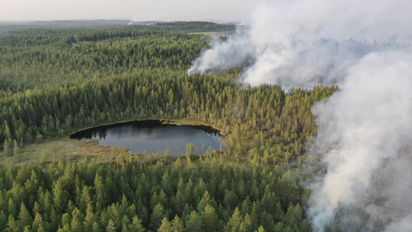 Forêt en Russie - crédits : Ilya Timin / Sputnik / Sputnik via AFP