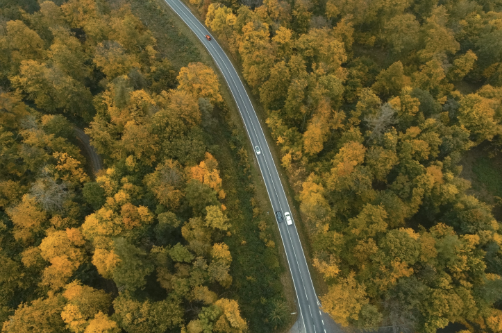 Forêt - MATTHIAS BEIN / dpa-Zentralbild / dpa Picture-Alliance via AFP