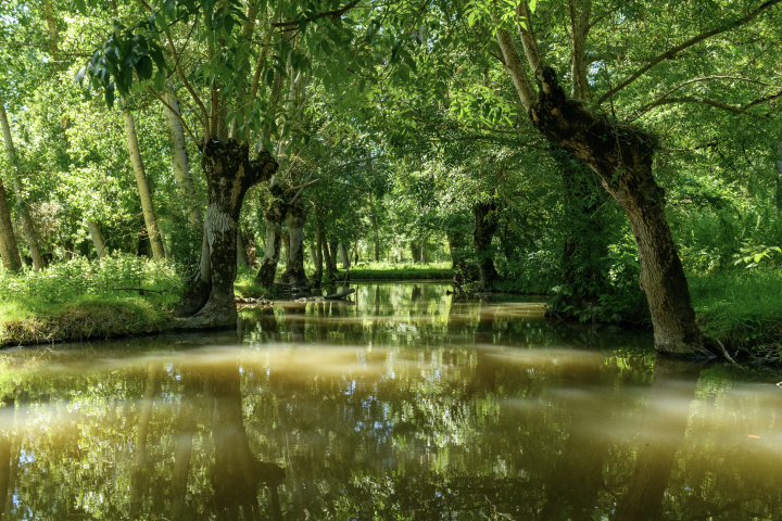 Marais Poitevin - ARNAUD BERTRANDE / ONLY FRANCE / Only France via AFP