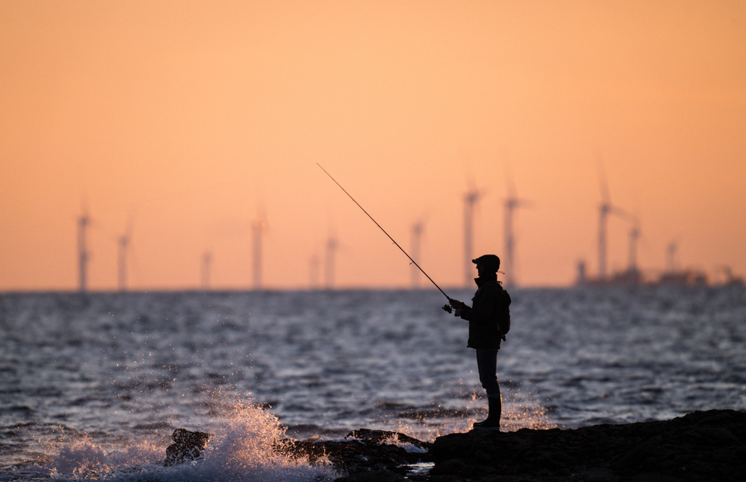 Eoliennes. Photo par ANDRE BOURRIQUEN / HANS LUCAS / HANS LUCAS VIA AFP