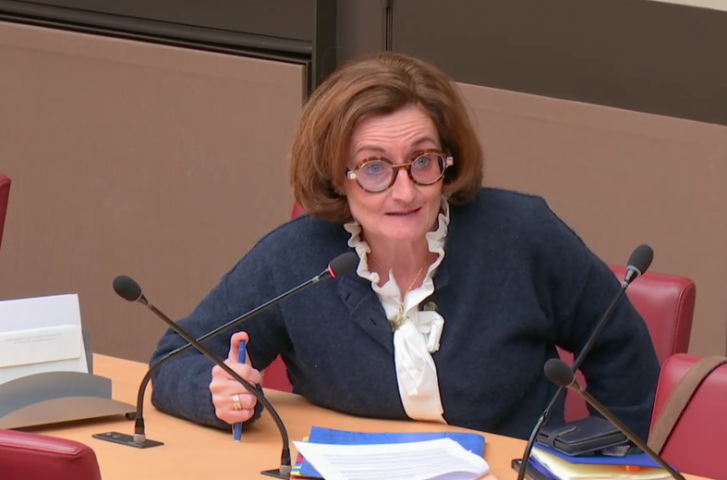 Christelle Minard - DR