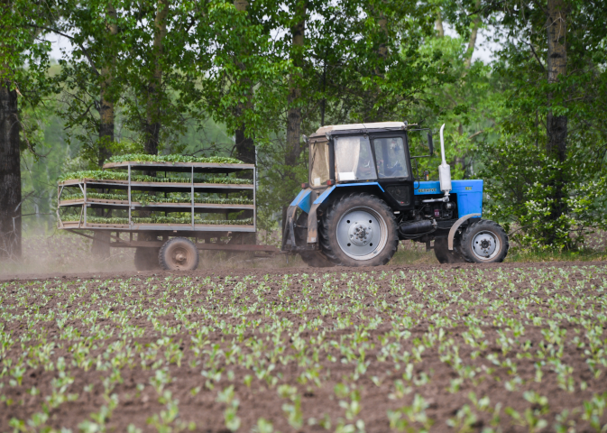 Le fonds impact a pour objectif de favoriser une agriculture régénératrice (Photo by Alexandr Kryazhev / Sputnik / Sputnik via AFP)