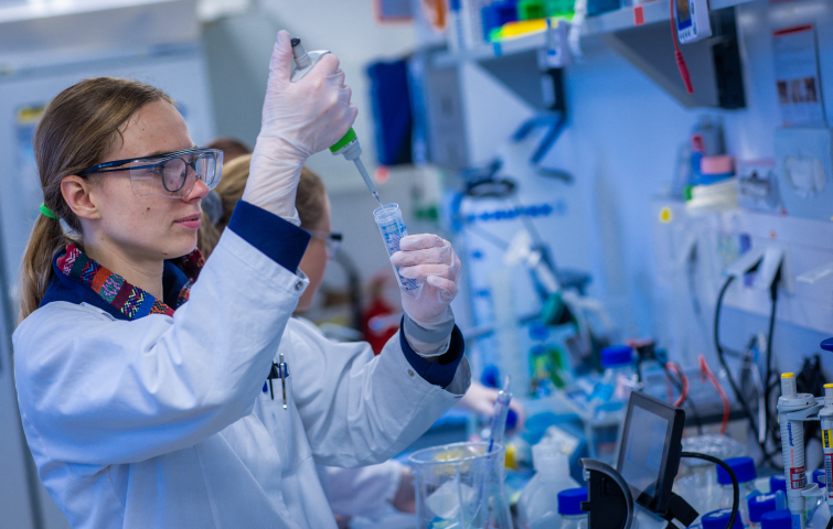 Les biotechs françaises Nanobiotix et Cellectis ont signé cette année des accords historiques avec de grands groupes pharmaceutiques - dpa Picture-Alliance via AFP