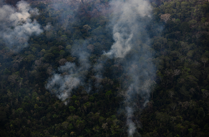 Incendie au Pérou - HUGO LA ROSA / AFP
