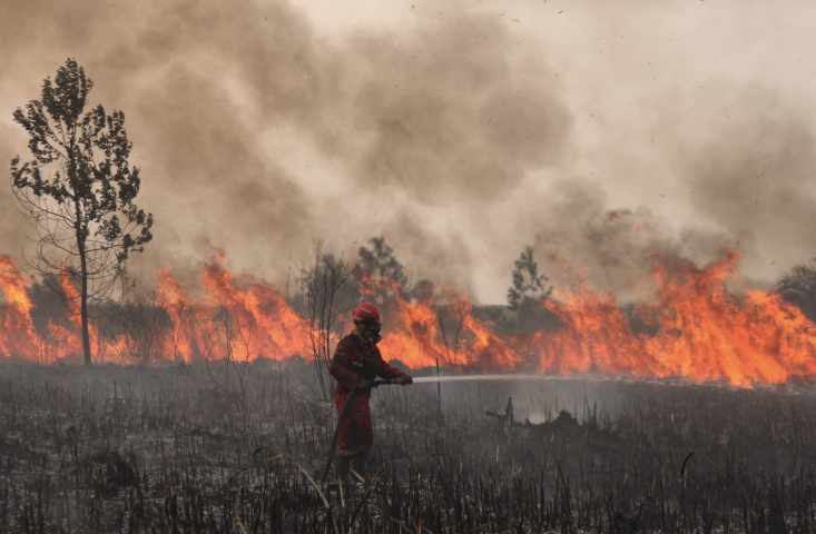 Feu en Indonésie. Photo par MUHAMMAD FAJRI / ANADOLU / ANADOLU VIA AFP