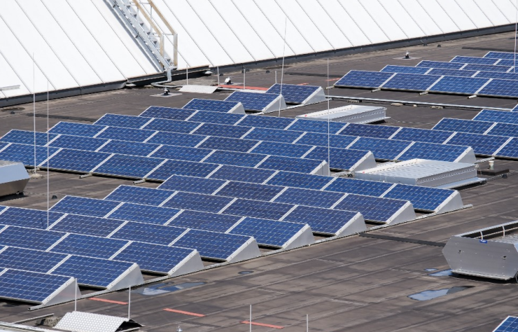 Panneaux solaires. Kim van Dam / ANP MAG / ANP via AFP